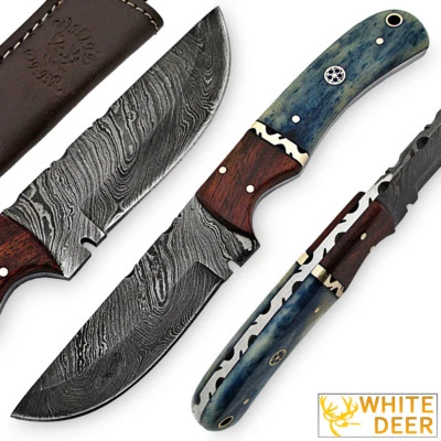 Cuchillo de acero White Deer Blue Bunyan Damasco hueso de bisonte y mango de madera dura AFILADO Foto 1 de 4