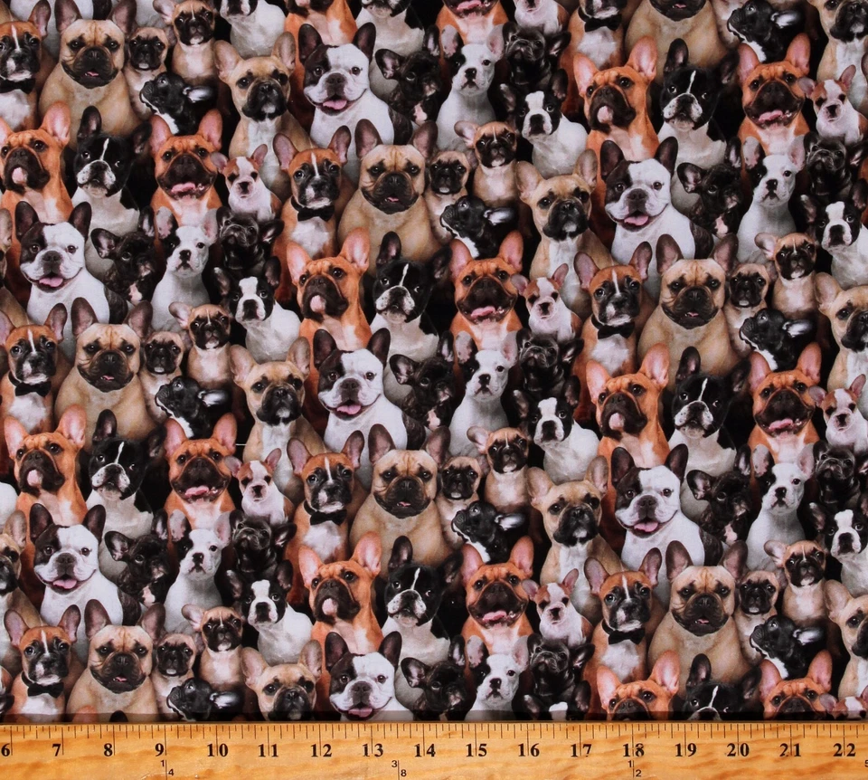 ELIZABETH STUDIOS Cotton French Bulldogs Animals Pets Multicolor Fabric Print by Yard D760.48