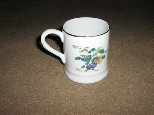NEW  UNWANTED GIFT   ROYAL HORTICULTURAL SOCIETY  FLORAL MUG PLUM APRICOT RASBER - Picture 1 of 3