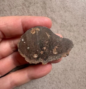 Meteorite NWA 13272 ungrouped achondrite end 21.8 g - Foto 1 di 3