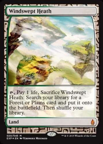 Slightly Played, English - 1 x MTG Windswept Heath - Foil MPS: Expeditions - Image 1 of 1