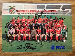 Benfica Lizbona autograf TEAM FINAL 1988 EUSEBIO DIAMANTINO WANDO FONSECA - Zdjęcie 1 z 5