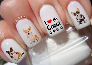 Welsh Corgi Nail Art Stickers Transfers Decals Set of 38 - A1355 - Picture 1 of 2