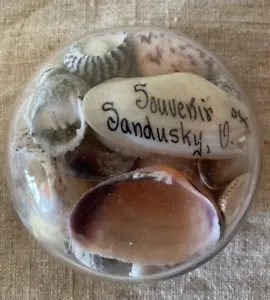 Victorian Edwardian Shell Seashell Glass Dome Paperweight Souvenir Sandusky Ohio - Picture 1 of 5
