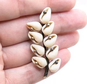 Vtg Antique Money Cowries Shell Brooch With Primitive Closure Gold Tone Setting - Picture 1 of 7