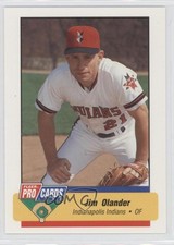 1994 Fleer ProCards Minor League Jim Olander #1822