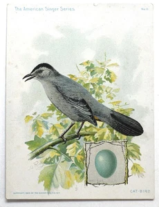 American Singer Series Victorian Trade Card - CAT-BIRD SINGER SEWING MACHINE OIL - Picture 1 of 2