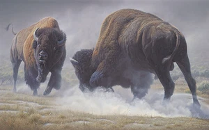 Daniel Smith HEAVY HITTERS, Bison, giclee paper #97/100 - Picture 1 of 1
