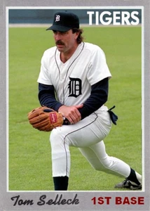 TOM SELLECK TIGERS #### BUY 5 GET 1 FREE #### or 30% OFF 12 OR MORE - Picture 1 of 1