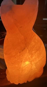 Himalayan Sea Salt Lamp Cat Natural Air Ionizer, Lighted New - Picture 1 of 4