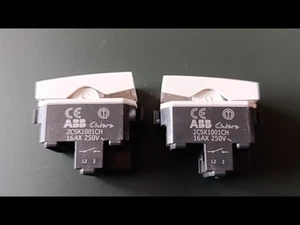ABB Chiara Pulsante Interruttore 2CSK1001CH 16AX 250V~ - Imagen 1 de 3