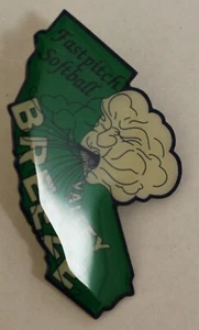 California Valley Breeze Fastpitch Softball Pin - Picture 1 of 2