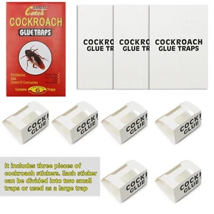 36 Pcs Indoor Roach Traps Cockroach Bug Pest Killer Bait Glue Traps Spider Motel - Picture 1 of 12