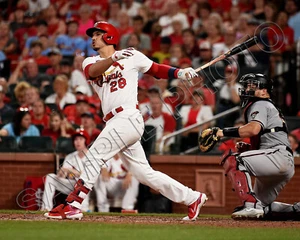 NOLAN ARENADO ST LOUIS CARDINALS HITS A HOME RUN 8x10 PHOTO - Picture 1 of 1