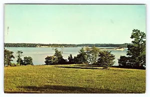 Postal de colección c1950 Maryland, Elk Neck State Park cerca del noreste M.D. - Imagen 1 de 3