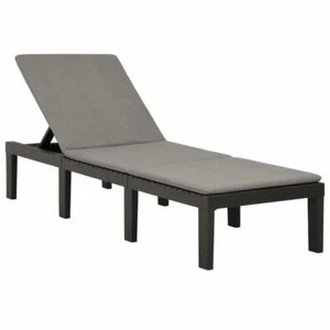 Sun Lounger with Cushion Plastic Anthracite vidaXL - Picture 1 of 9