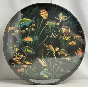 LARGE 22" REMO OCEAN DRUM w/ FISH GRAPHICS on MYLAR SYNTHETIC HEAD - Picture 1 of 9