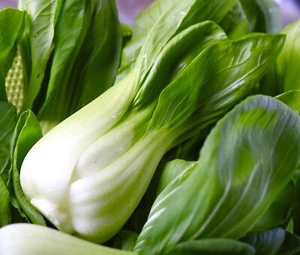 Chinese White Pak Choi - 700x Seeds - Baby Leaf - Vegetable - Picture 1 of 1