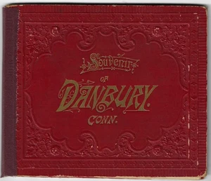 1880s Danbury Connecticut Souvenir View Book Chisholm Bros. Photolithographs - Picture 1 of 6