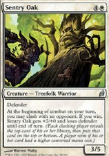 SENTRY OAK X4 4 4X Lorwyn MTG Magic the Gathering Cards DJMagic