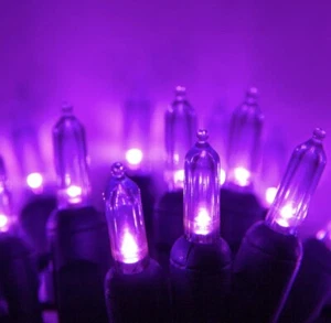 New 50 Ct Purple LED Mini Christmas Lights Great 4 Kids With Autism Halloween - Picture 1 of 3