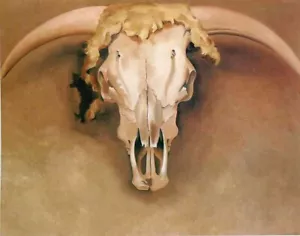 Steer Head Skull : Georgia O'Keeffe : 1928 : Archival Quality Art Print - Picture 1 of 2