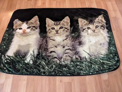 Fleece Throw Blanket With ,3 Green-eyed White Cats 67x47 - Image 1 of 4