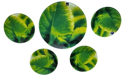 TRAUMHAFTES 5-tlg. Set LEONARDO Glas-Teller Brilliantes Motiv Blätter 32+20cm - Bild 1 von 3