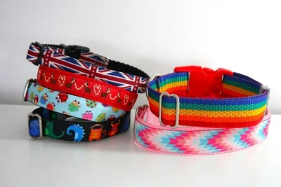 SALE CLEARANCE Dog Collar Sale Ladybird Dashchund Union Jack Rainbow Pink - Image 1 of 4