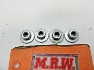 NUT NUTS DOOR HINGE TO DOOR PANEL LEFT RIGHT FRONT REAR SILVER LF LR RF RR R L - Picture 1 of 3