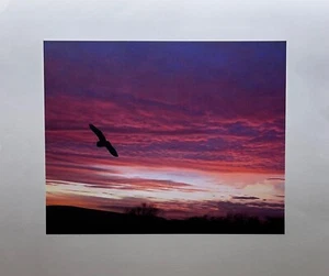 Natural Prints Quality Printed Photographs Size 8 " x 10" + 2" Border £7.00!! - Picture 1 of 1