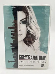 Grey's Anatomy: Complete Thirteenth Season (DVD, 2016) SEALED - Imagen 1 de 2