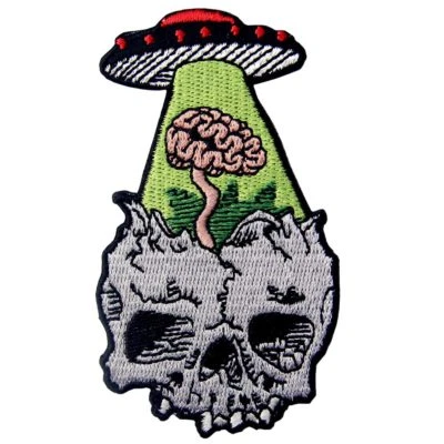 Embroidered Patches Iron Sew On appliques transfers Garment Badges Losing Brain - Image 1 of 4