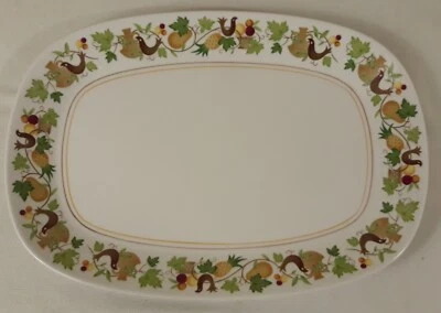 Plato rectangular para servir Noritake China Progression Homecoming RARO USADO EN EXCELENTE ESTADO Foto 1 de 4