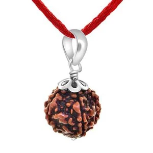 Natural 4 Face Four Mukhi Nepali Rudraksha Sterling Silver Pendant Shiva Locket - Picture 1 of 6