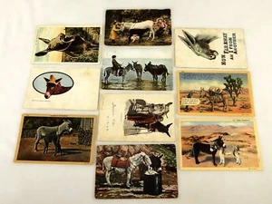 Lot of 10 Vintage/Antique Post Cards, Assorted Burros in The Southwest, CRD-23 - Picture 1 of 22
