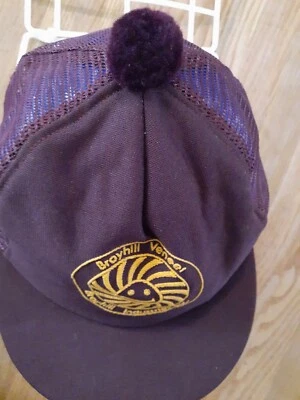 De Colección Broyhill Industries Chapa Sombrero Sol Logo Gorra Pom Billete Corto Malla Snapback EE. UU. Foto 1 de 4