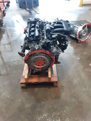 Nissan Xterra Pathfinder Frontier 2009-2012 4,0 L 68 k millas envío gratuito 1 año Foto 1 de 2