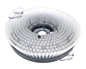 Spazzola di lavaggio PPN 0,6 Sprintus Tortuga - media