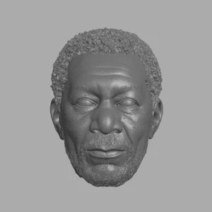 Morgan Freeman Lucius Fox Wayne Enterprises custom head for DC action figures - Picture 1 of 1
