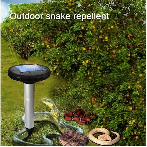 Dissuasore elettronico con funzione specifica contro rettili serpenti lucerto... - Immagine 1 di 1