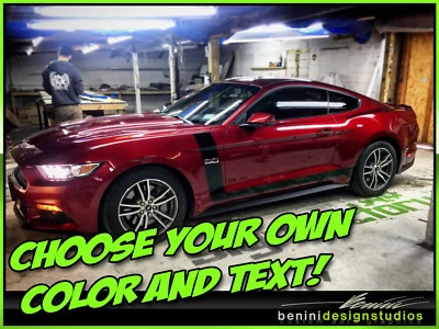 Palo de hockey rayas laterales para Ford Mustang GT Shelby Cobra 1 2015 en adelante Foto 1 de 2