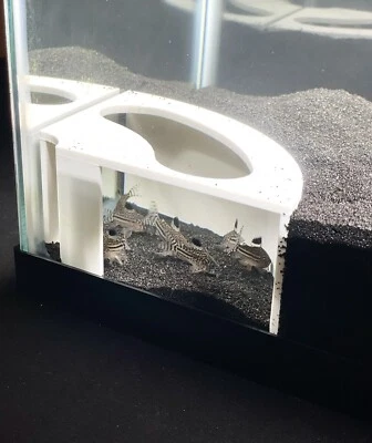 Acuario Esquina Subterránea Cueva Cueva Críclidos Cory Catfish Escondite Axolotl Ocultar Foto 1 de 4