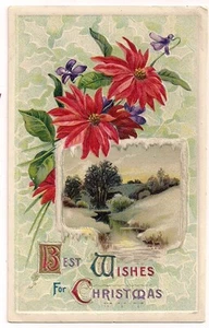 Samson Brothers Series 2488 Poinsettia Christmas postcard - Picture 1 of 1