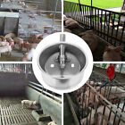1PC Drinking Bowl for Pig Sheep Cattle Automatic Stainless Steel Water Feeder