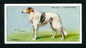 BORZOI W D & H O WILLS 1937 DOG SERIES OLD CIGARETTE CARD #5 - Picture 1 of 2