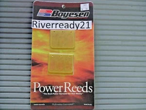 Kawasaki 650-sx-x2-sc-ts jetmate Jet-ski Boyesen Reeds 012 Full Set NEW In Stock - Picture 1 of 1