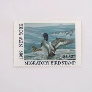 New York Migratory Bird Stamp Ducks Waterfowl Vintage 1989 - Picture 1 of 3