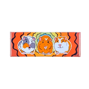 Regenbogen Meerschweinchen Magnet handgefertigt Retro Geschenk Zubehör und Küche Wohnkultur - Bild 1 von 15
