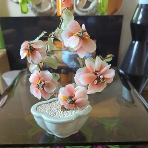 Bonsai Baum, Jade Kirschblüte Vintage rechteckig Topf  - Bild 1 von 6